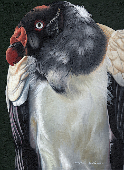 The Vulture by Nikita Coulombe The Vulture by Nikita Coulombe